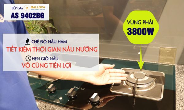 AS 9402BG vùng nấu phải