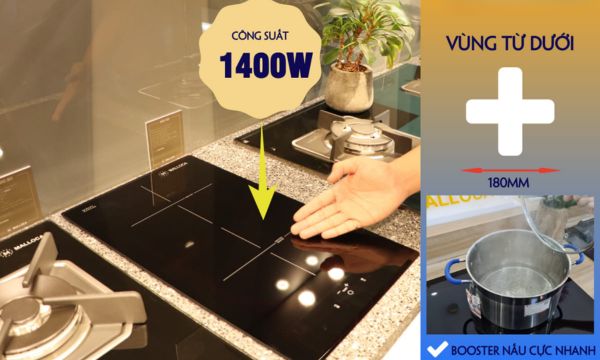 MDI 302 vùng từ dưới