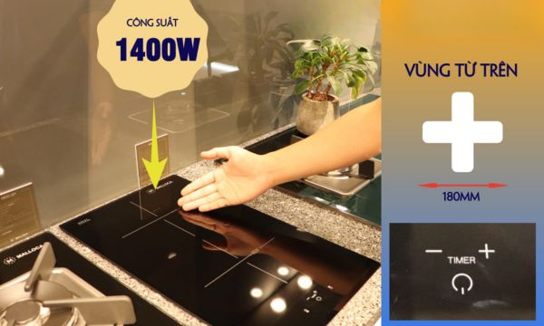 MDI 302 vùng từ trên