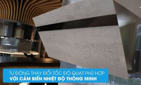 VITA V-13 GRES cảm biến nhiệt độ thông minh
